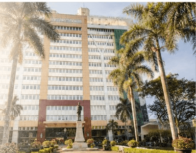 Quezon City Hall plaza with palm trees